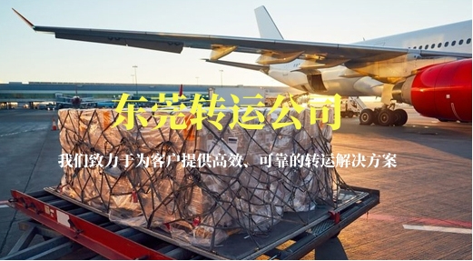 東莞轉(zhuǎn)運公司-讓你感受賽車的極限