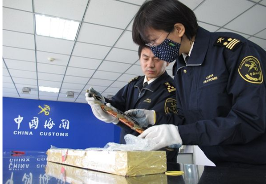自己報關和貨代報關哪個劃算?